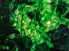 화승] 소중한 내 친구