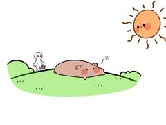 컴퓨터 배경화면