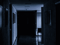 환청 혹은 의문