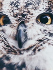 내 미래에는 네가 없어?