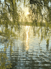 언제나 몇 번이라도