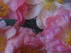 넘치는 사랑을 품에 안고,