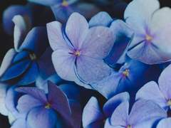 [이은하/13/여/초등학생]