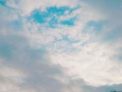 [은혼 드림] "같은 색으로 물들고 싶어."