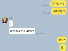 사고뭉치 니넨세들