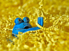 윤리적인 창조물 처리법