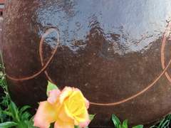 모란 동백과 나의 뜰/이도은