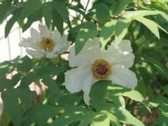 당신만 있어준다면...