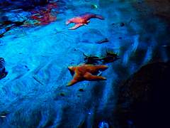 나를 사랑하지 않는 나에게