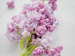 몇 번의 계절을 보낸 뒤에