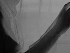 𝑳𝒂𝒗𝒆𝒏𝒅𝒆𝒓