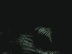 누군가 내 무덤을 도굴했다 02