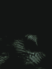 누군가 내 무덤을 도굴했다