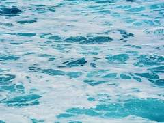 전하지 못했던 한마디.