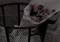 たばやし まるち