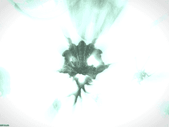 [효월] 파판14가 오마주한 파판14