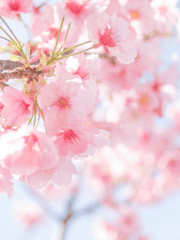 Taeseong & Haebom Story