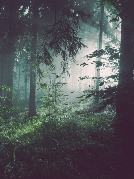 그 여름, 비. - 3