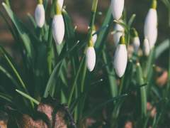 [바니타스 / 도주, 4] 바람결의 인사를 건네며 (with. 휴)