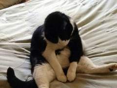 [공지] 잠시 연재를 멈춥니다