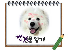 NEO한 판교의 젠뭉🐶일기! A