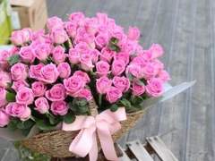 돌아와 힐링을...