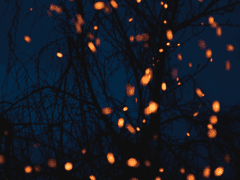 전도자가 무엇을 전도한다는 얘긴가?