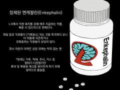 엔케팔린 과복용하는 후배가 복용량 늘려달라고 했을 때