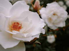 [도리벤드림]나는 너가 노.담 이면 좋겠어