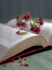 도리벤 썰 단편