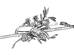 발레리안 나이절 지크프리트ㆍXYㆍ검술학부