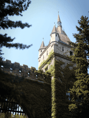 로판물 웹툰 모음zip