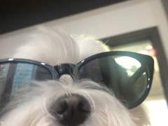 엔시티나페스추천_10