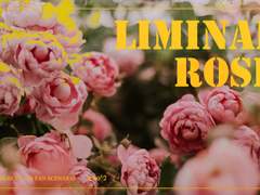「리미널 로즈」