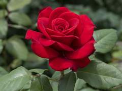 영감을 주는 곡...