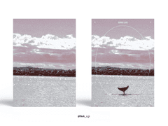 Sold out. 인어의 꼬리