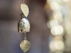 龍天寺 十六羅漢, 39