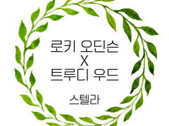 [Novel] 로키 오딘슨 드림 _ 스텔라