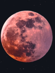 달하 그림 완성해라