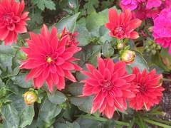 22.05.17 오늘의 소소한 이야기