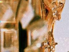 종달새의 비명이었다.