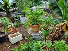 복잡하지만 단순한 우정