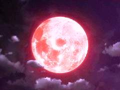 천만월 / 18세 / 귀령고