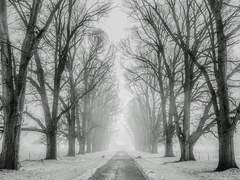 눈에 묻힌 추억은 가슴에 담아