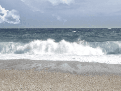 천해월 음악과 18