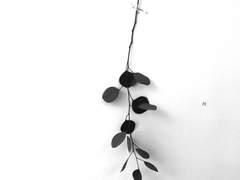 그런 것까지 알려 줄 필요가 있었나요?