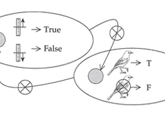 What is meaning? 기말