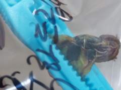 부끄럽지 않은 부모님이 되고 싶어요.