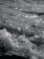 Polarr(폴라) 보정 필터 공유