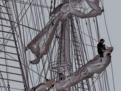 바다는 웬만하면 얼어붙지 않아.